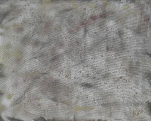 IRIDESCENCE's landscape image